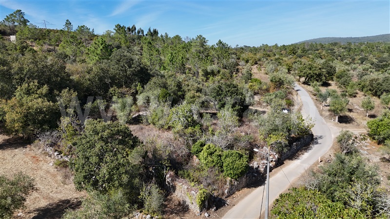 Terreno para Construção  Alvaiázere, Almoster - 1509868 - 6