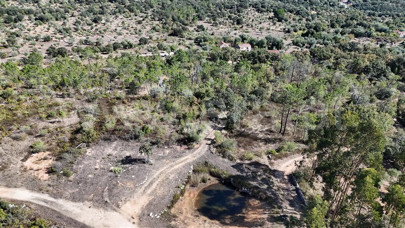 Terreno para Construção  Alvaiázere, Almoster - 1509868 - 7