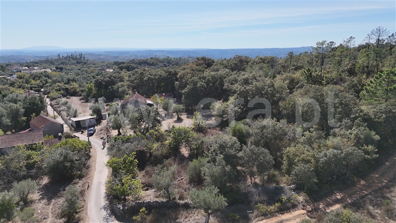 Terreno para Construção  Alvaiázere, Almoster - 1509868 - 8