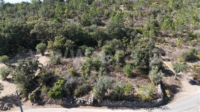 Terreno para Construção  Alvaiázere, Almoster - 1509868 - 10