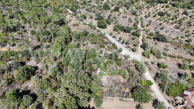Terreno para Construção  Alvaiázere, Almoster - 1509868 - 11