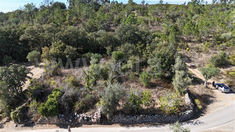 Terreno para Construção  Alvaiázere, Almoster - 1509868 - 12