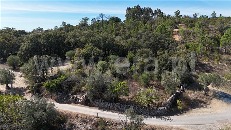 Terreno para Construção  Alvaiázere, Almoster - 1509868 - 13