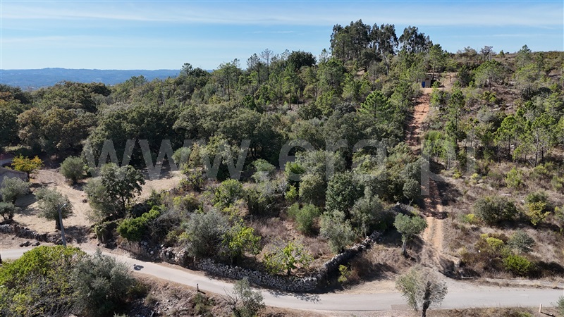 Terreno para Construção  Alvaiázere, Almoster - 1509868 - 15