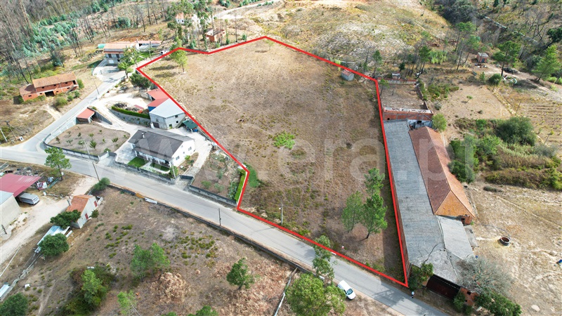 Terreno para Construção  Alvaiázere, Pelmá - 1353363 - 5