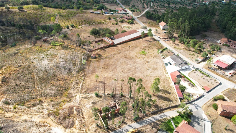 Terreno para Construção  Alvaiázere, Pelmá - 1353363 - 12