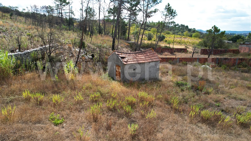 Terreno para Construção  Alvaiázere, Pelmá - 1353363 - 20