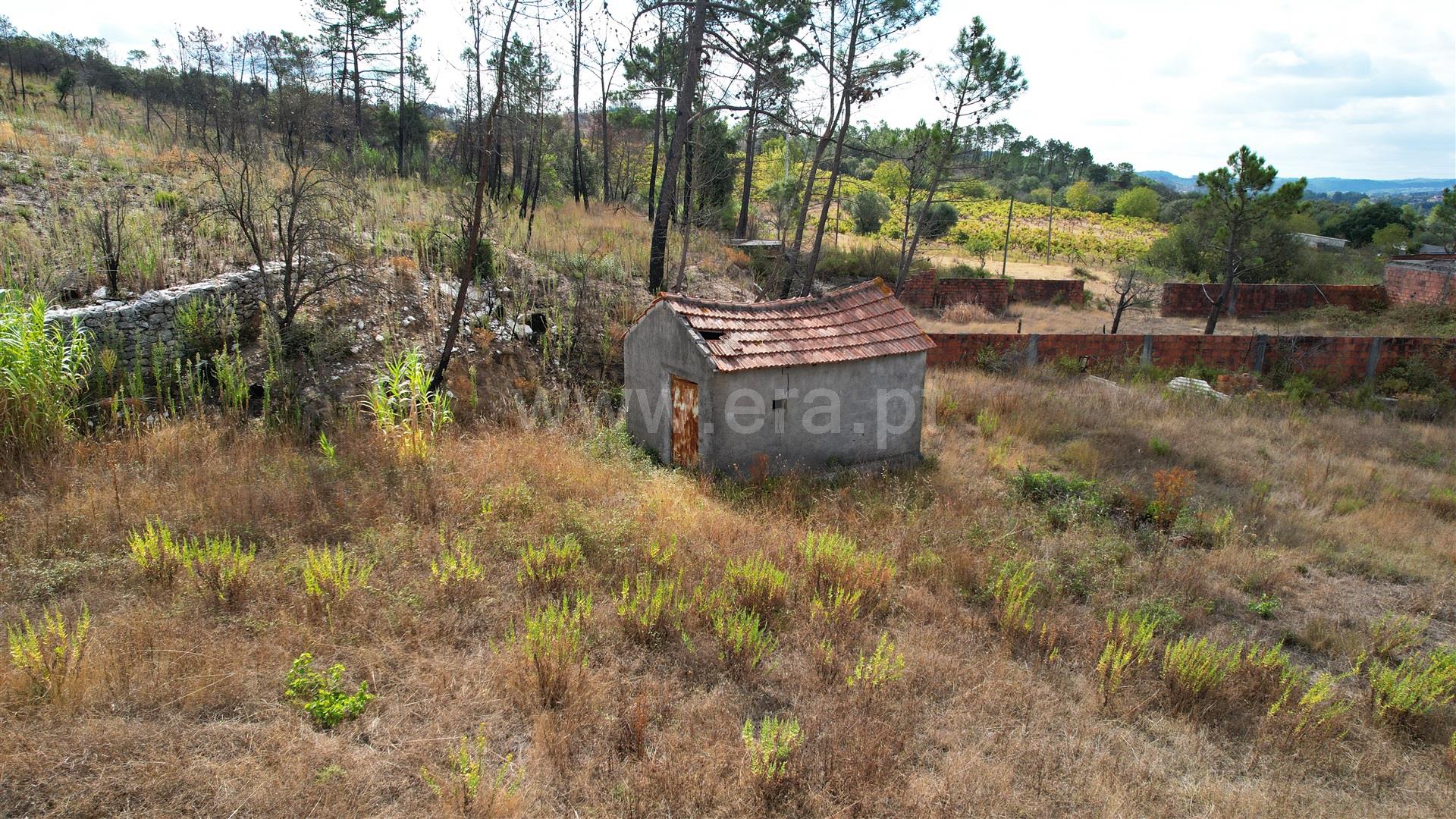 Terreno em Alvaiázere