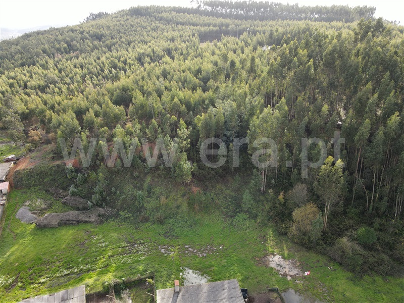 Lote  Alvaiázere, Pussos São Pedro - 1141286 - 2