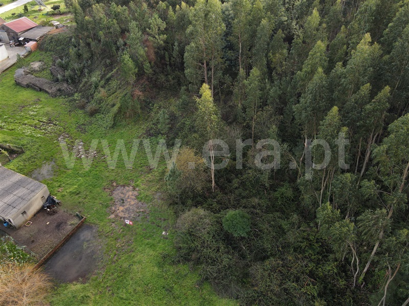 Lote  Alvaiázere, Pussos São Pedro - 1141286 - 3