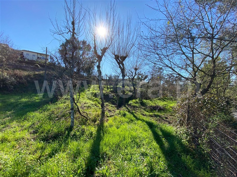 Terreno para Construção  Amarante, Amarante (São Gonçalo), Madalena, Cepelos e Gatão - 1079680 - 2