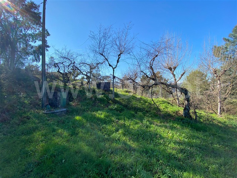 Terreno para Construção  Amarante, Amarante (São Gonçalo), Madalena, Cepelos e Gatão - 1079680 - 5