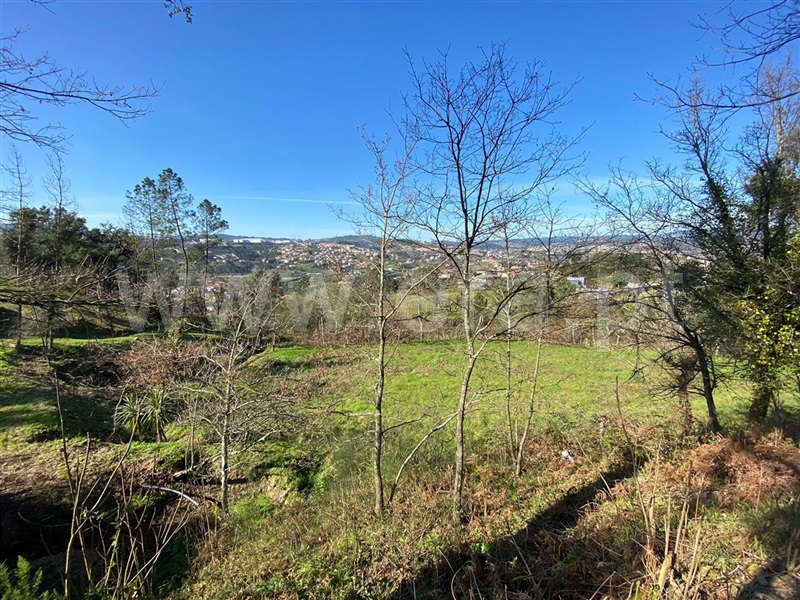 Terreno para Construção  Amarante, Amarante (São Gonçalo), Madalena, Cepelos e Gatão - 1079680 - 6