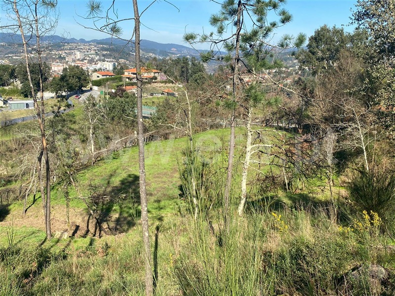 Terreno para Construção  Amarante, Amarante (São Gonçalo), Madalena, Cepelos e Gatão - 1079680 - 8