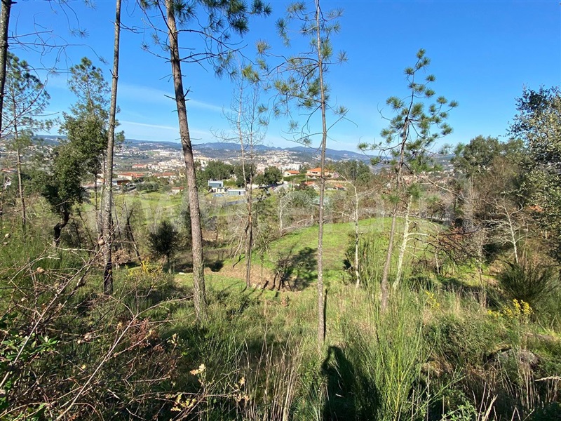 Terreno para Construção  Amarante, Amarante (São Gonçalo), Madalena, Cepelos e Gatão - 1079680 - 10