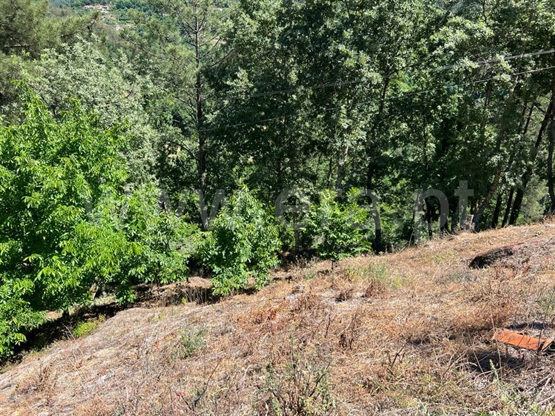 Terreno para Construção  Amarante, Candemil - 1254340 - 2