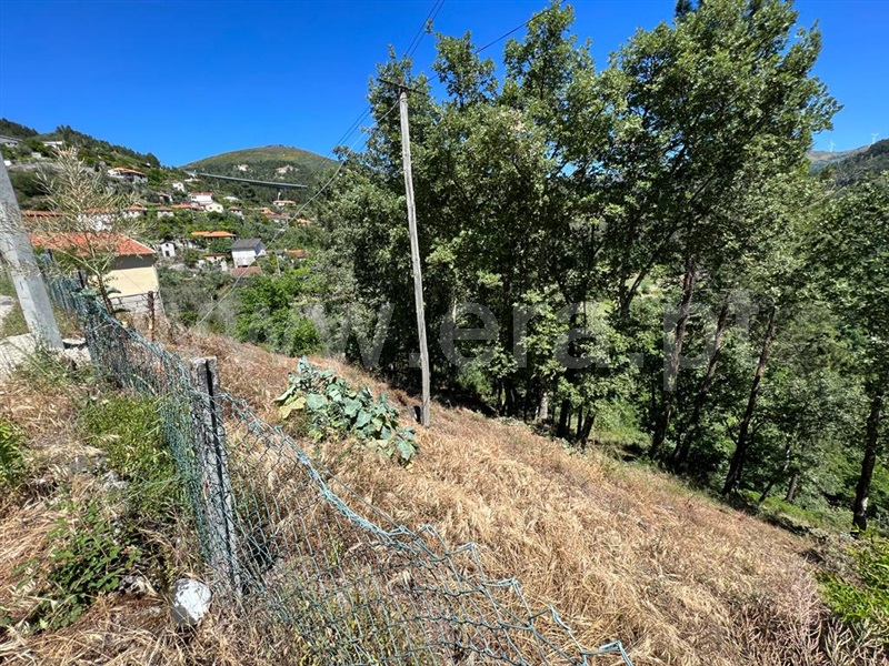 Terreno para Construção  Amarante, Candemil - 1254340 - 3