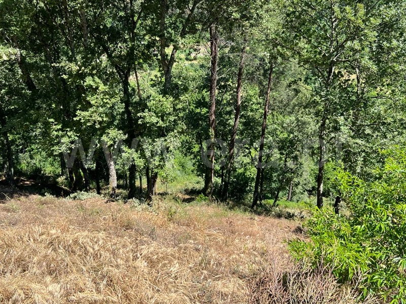 Terreno para Construção / Amarante, Candemil