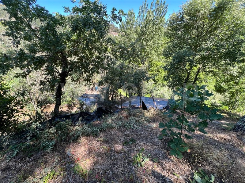 Terreno para Construção  Amarante, Candemil - 1254340 - 8
