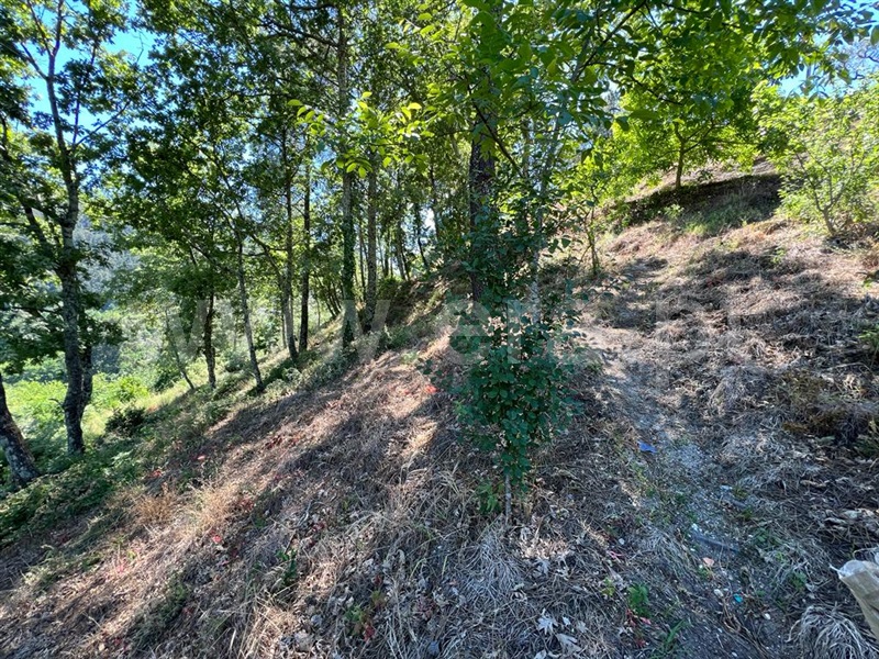 Terreno para Construção  Amarante, Candemil - 1254340 - 9