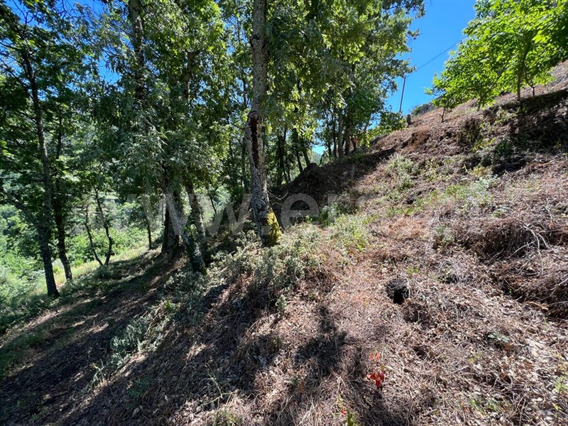 Terreno para Construção  Amarante, Candemil - 1254340 - 10