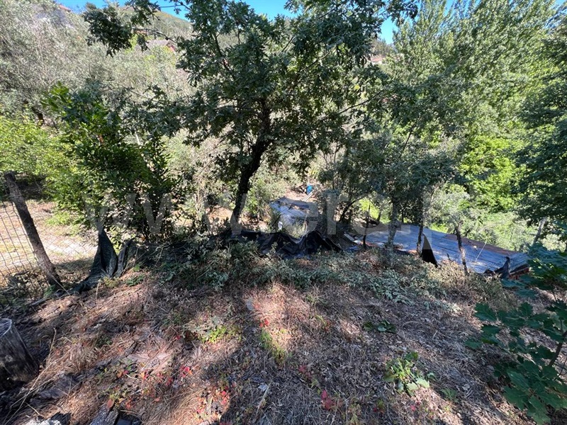 Terreno para Construção  Amarante, Candemil - 1254340 - 12