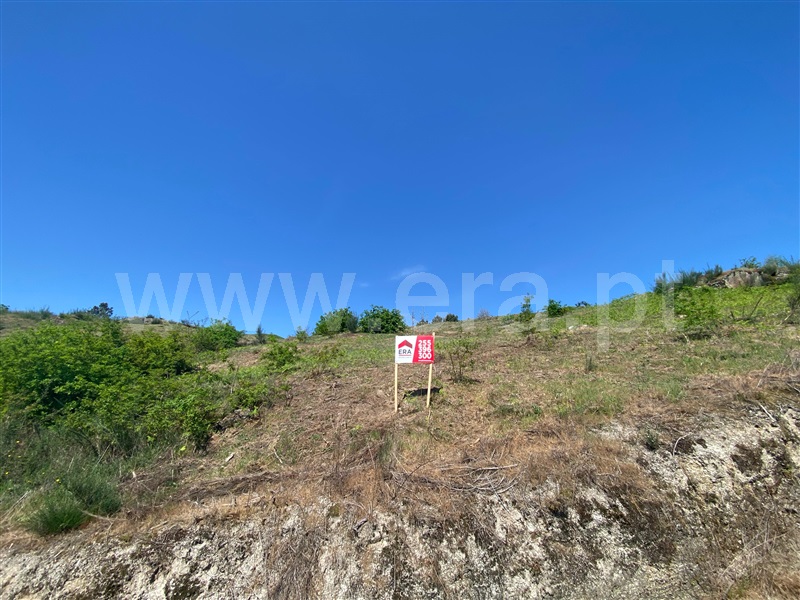 Terreno para Construção / Amarante, Fregim
