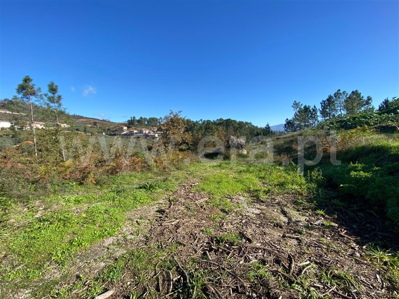 Terreno / Amarante, Fregim