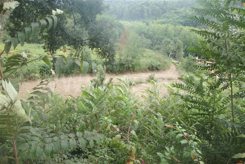 Terreno para Construção  Amarante, Freixo de Cima e de Baixo - 1113761 - 4