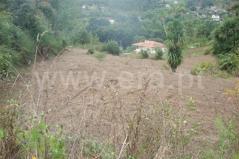 Terreno para Construção  Amarante, Freixo de Cima e de Baixo - 1113761 - 1