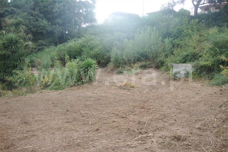 Terreno para Construção  Amarante, Freixo de Cima e de Baixo - 1113761 - 5