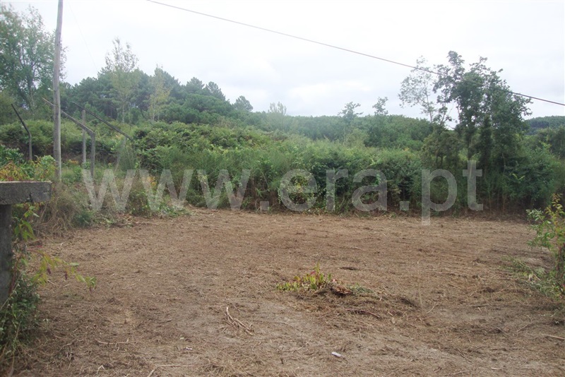 Terreno para Construção  Amarante, Freixo de Cima e de Baixo - 1113761 - 6