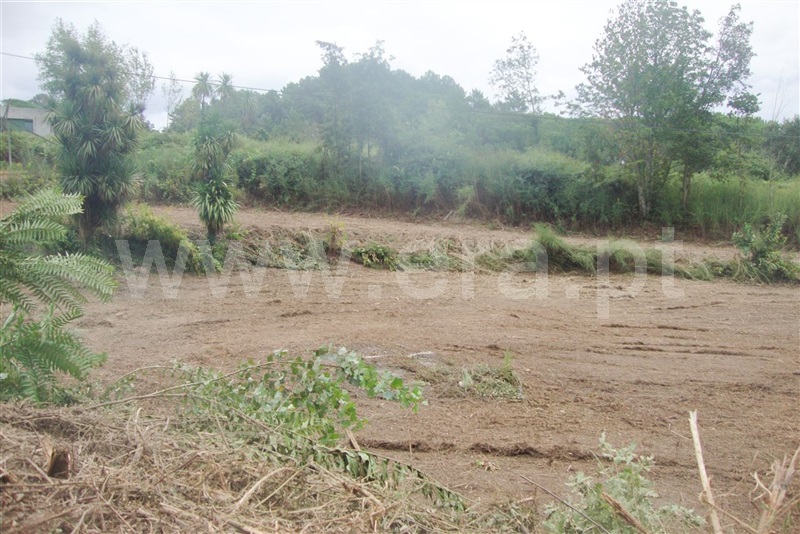 Terreno para Construção  Amarante, Freixo de Cima e de Baixo - 1113761 - 8