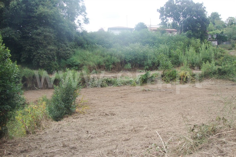 Terreno para Construção  Amarante, Freixo de Cima e de Baixo - 1113761 - 9