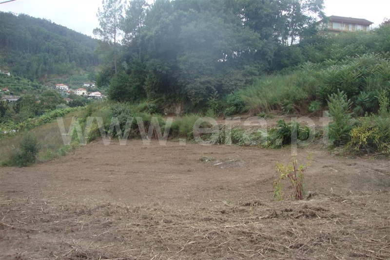 Terreno para Construção  Amarante, Freixo de Cima e de Baixo - 1113761 - 11
