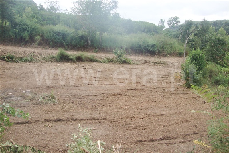 Terreno para Construção  Amarante, Freixo de Cima e de Baixo - 1113761 - 12