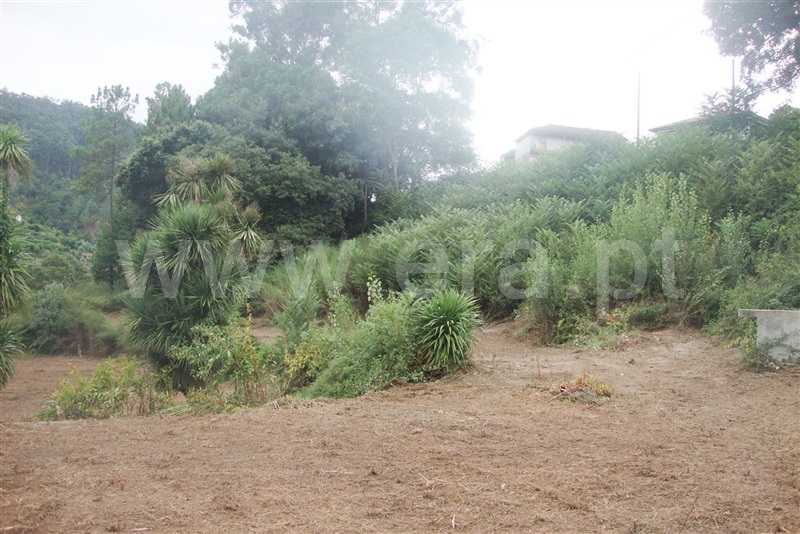 Terreno para Construção  Amarante, Freixo de Cima e de Baixo - 1113761 - 15