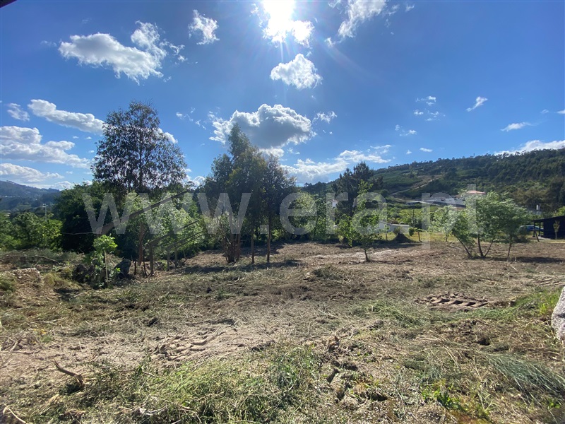 Terreno para Construção / Amarante, Freixo de Cima e de Baixo