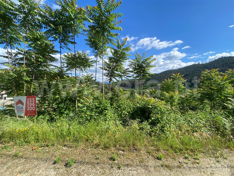 Terreno para Construção  Amarante, Freixo de Cima e de Baixo - 1113761 - 22