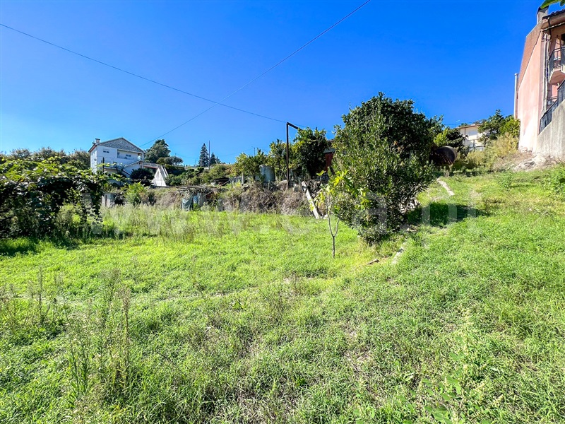 Terreno para Construção  Amarante, Freixo de Cima e de Baixo - 1279020 - 2