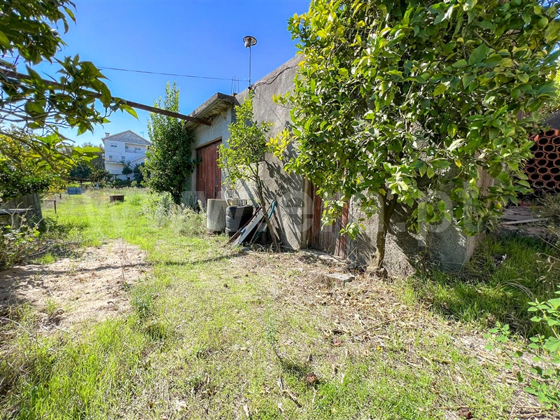 Terreno para Construção  Amarante, Freixo de Cima e de Baixo - 1279020 - 6
