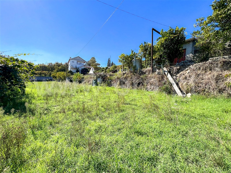 Terreno para Construção  Amarante, Freixo de Cima e de Baixo - 1279020 - 10