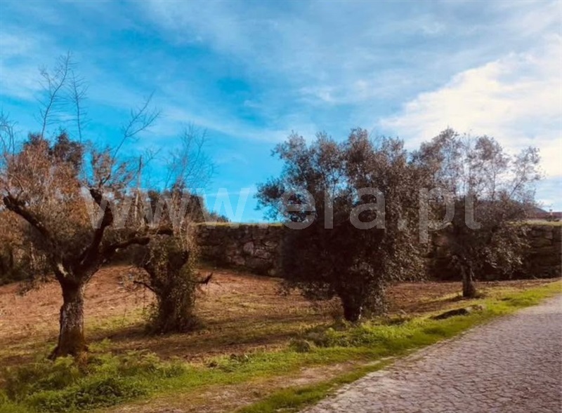 Terreno Rústico / Amarante, Gondar
