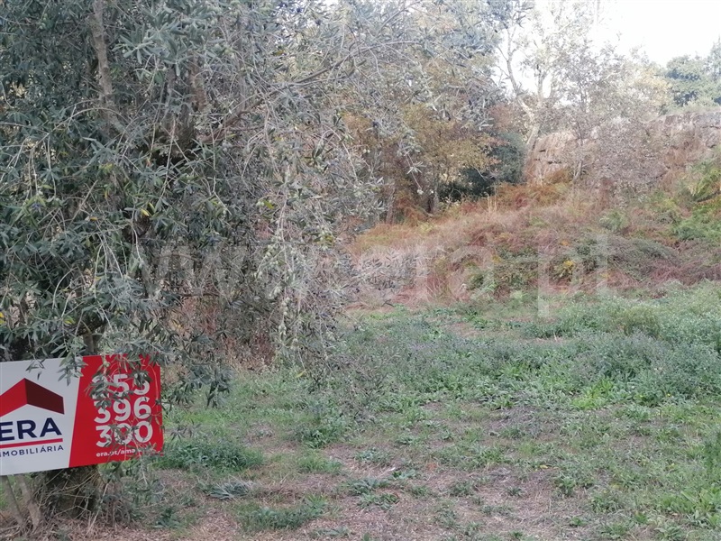Terreno para Construção / Amarante, Gondar - More