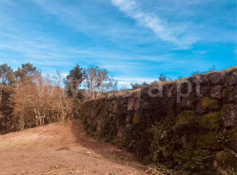 Terreno para Construção / Amarante, Gondar - View 4
