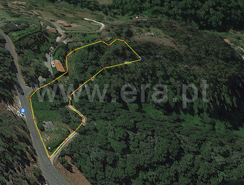 Terreno para Construção / Amarante, Gouveia (São Simão)
