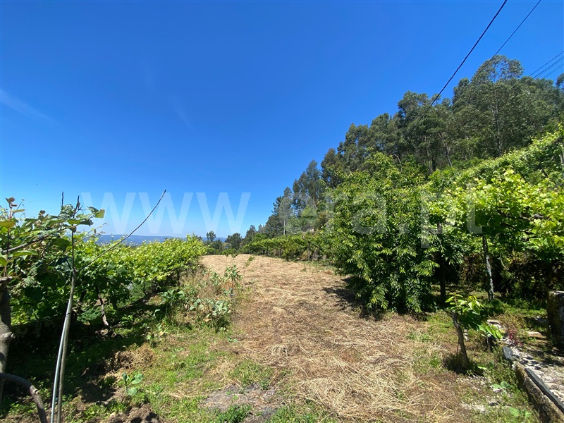 Terreno para Construção  Amarante, Gouveia (São Simão) - 829382 - 4