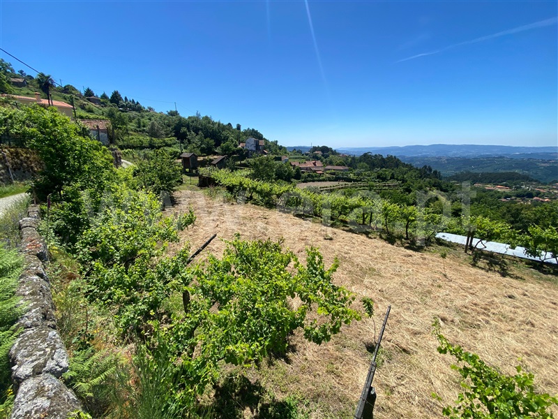 Terreno para Construção  Amarante, Gouveia (São Simão) - 829382 - 10