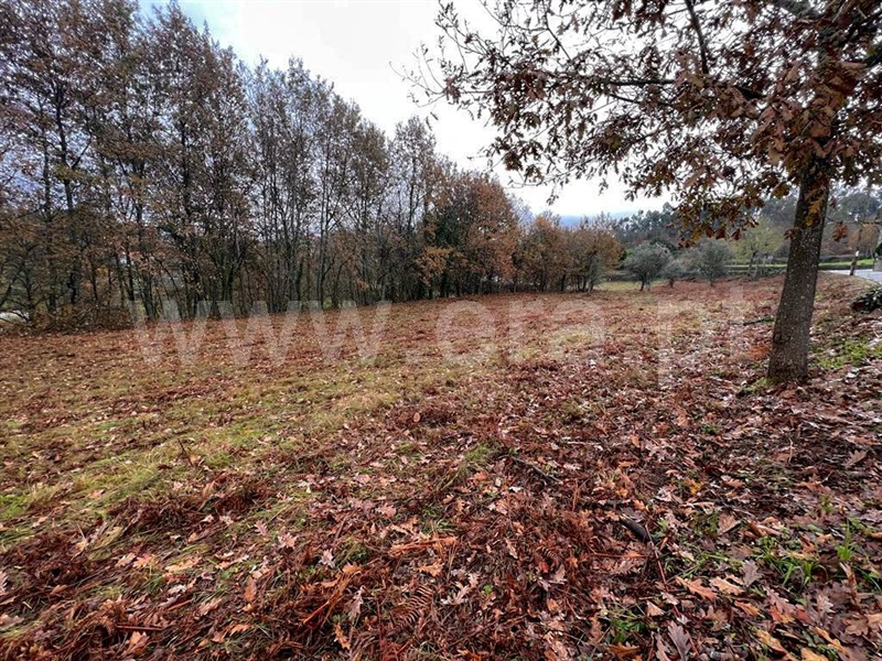 Terreno para Construção  Amarante, Lomba - 1291348 - 5