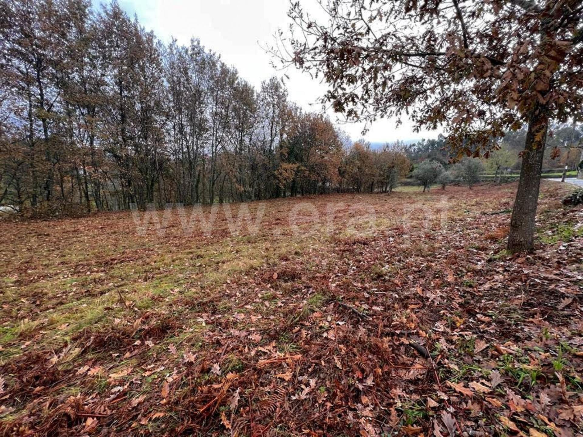 Land for sale in Amarante, Portugal — €215,000